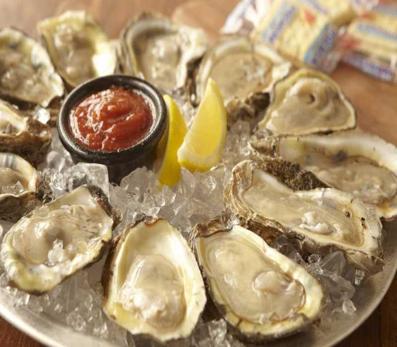 Oysters